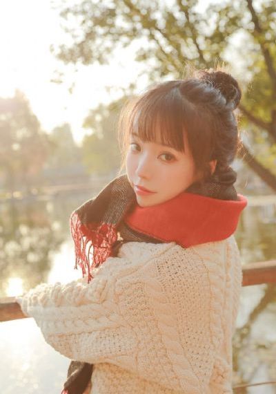 打黑电视剧免费观看