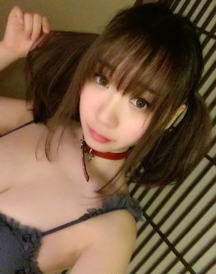 熊出没第一部104集免费观看视频